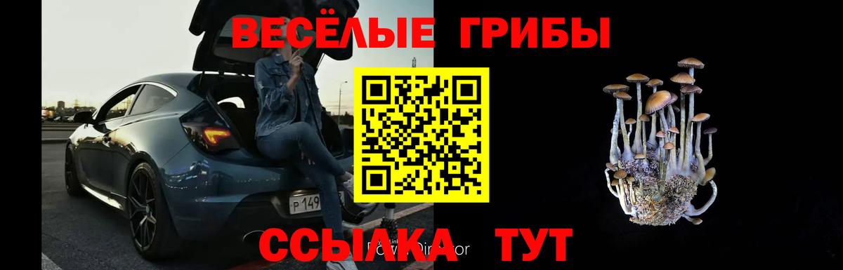 Североуральск  Галлюциногенные грибы Magic Shrooms  Вход с VPN 